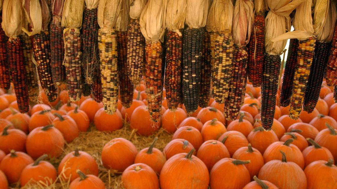 Focus on Manatee | Time to celebrate Arts and Humanities Month in the Bradenton area