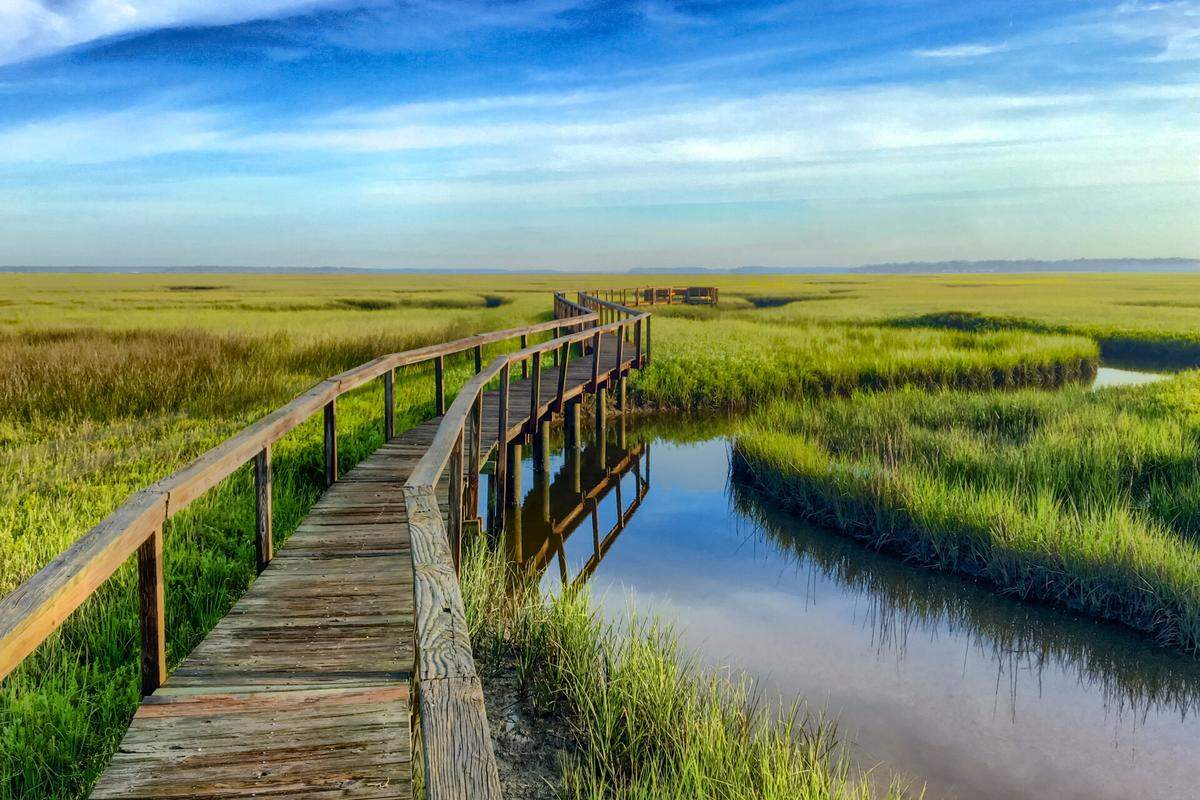 This photo of Amelia Island by Stan Cottle won first place in the “Landscapes” category for the Florida Wildlife Federation’s 2025 statewide photo contest.