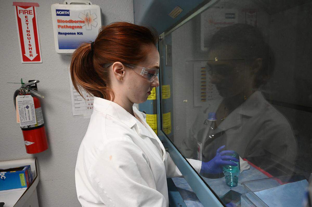 Research assistant Mackenzie Browning works in the pathology lab at the Roskamp Institute.