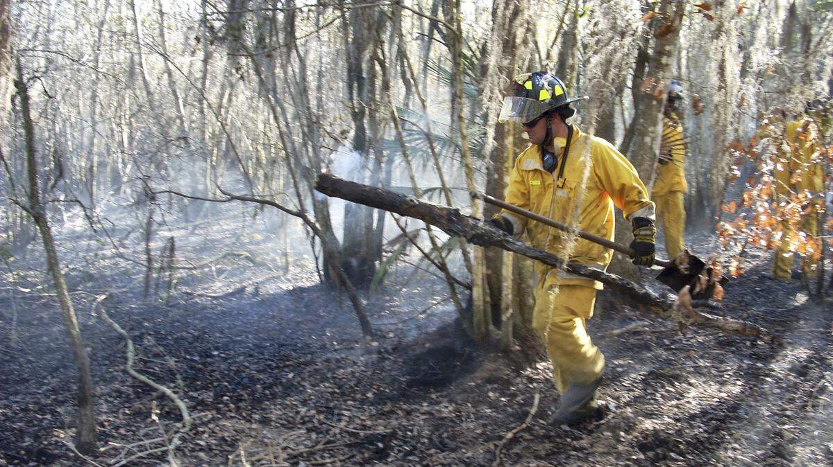 A firefighter carries a smoldering limb at the scene of a 2006 wildfire that burned 75 acres in East Manatee. 
 HERALD FILE PHOTO