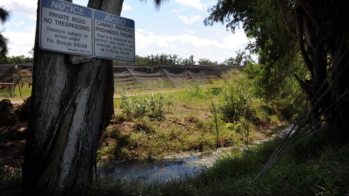 Over 350 acres of farmland near the Sunny Shores community, not far from the village of Cortez, could soon become an 1,800-home subdivision named Peninsula Bay if its developer, Whiting Preston, successfully shepherds a new development plan for the property through Manatee County's planning process. 
 GRANT JEFFERIES/Bradenton Herald