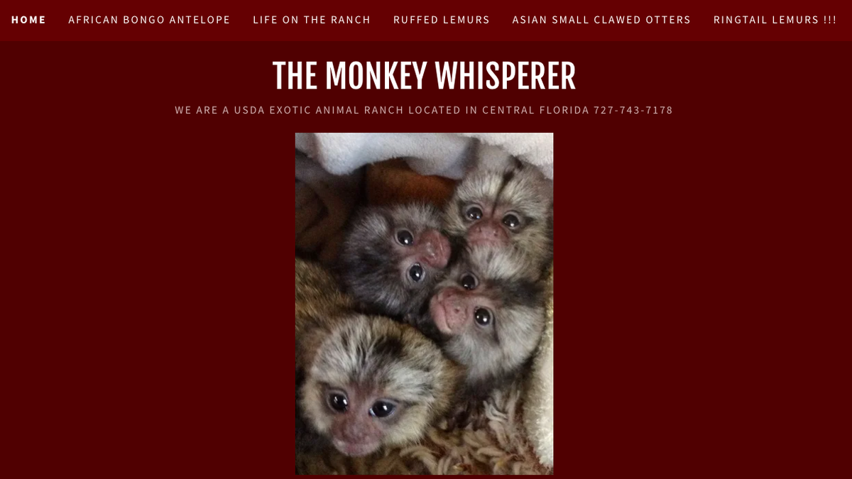 Screen grab of the website for “Monkey Whisperer”