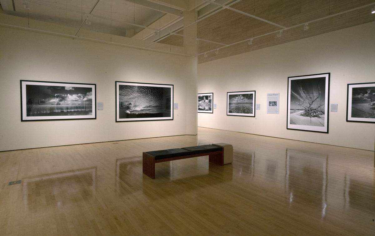 A traveling exhibition of Clyde Butcher’s photos of the Everglades.