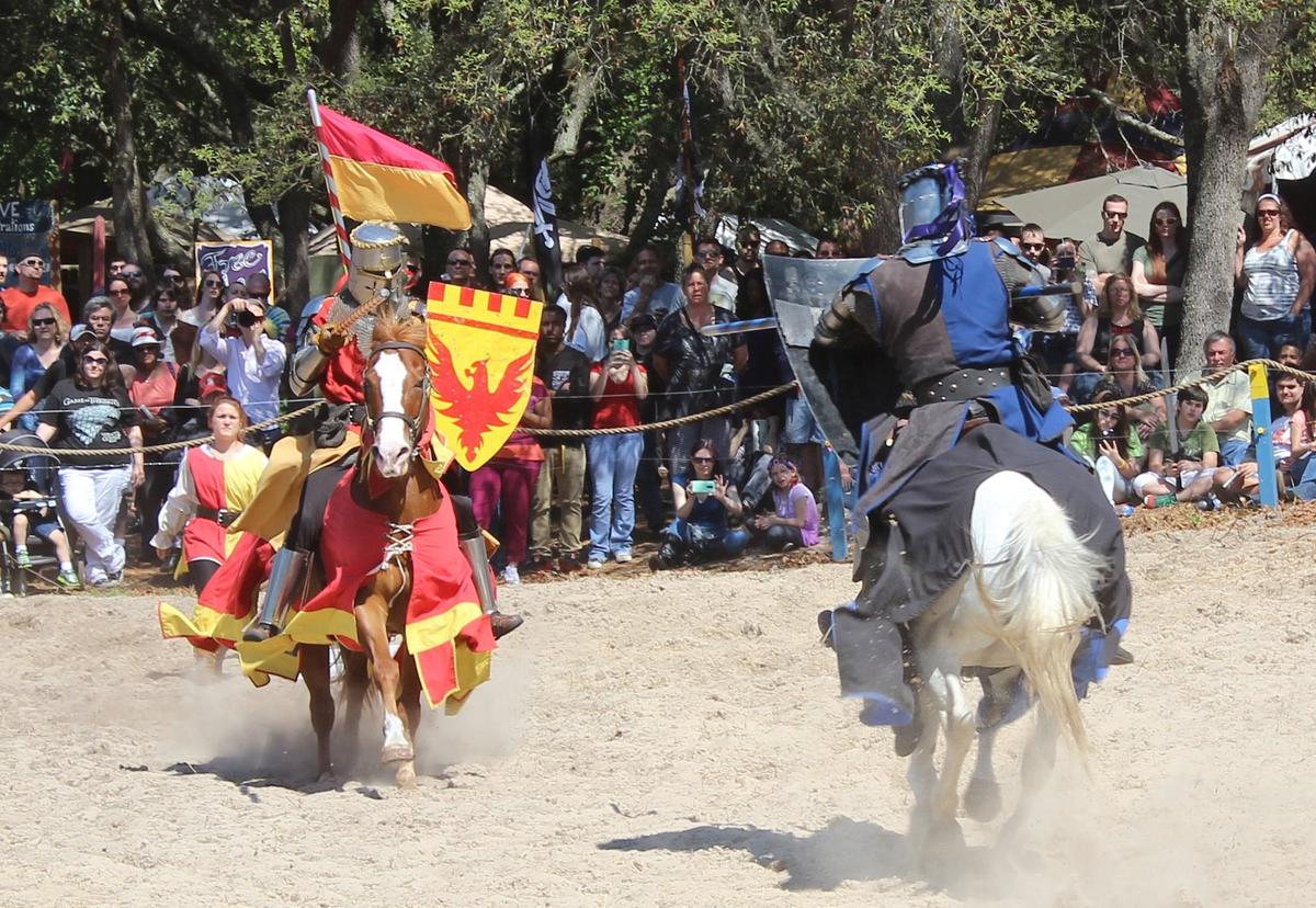 The 42nd Bay Area Renaissance Festival is bringing fairy tale fun to Tampa on weekends through March 29.