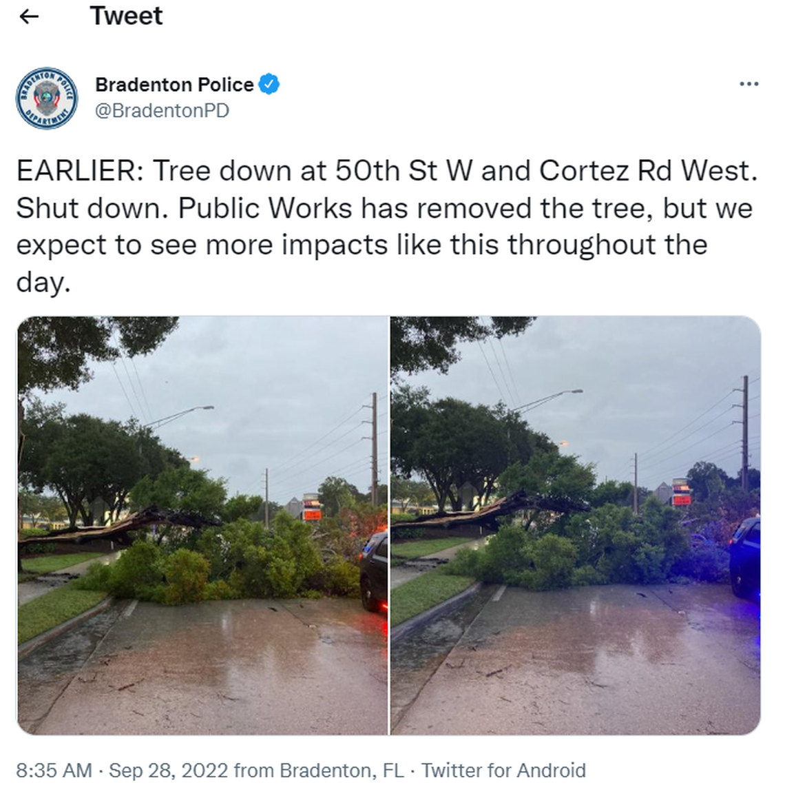 Hurricane Ian’s strong gusting winds cause trees to fall in Bradenton, Florida on Wednesday, September 28, 2022.