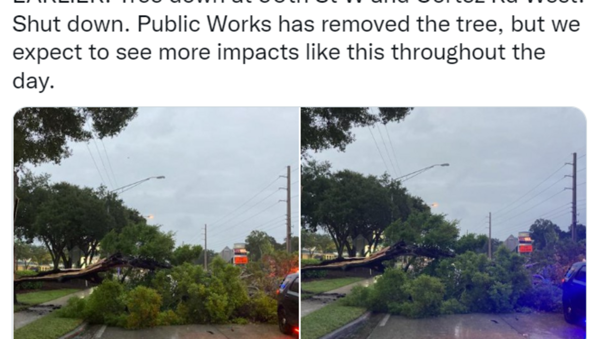 Hurricane Ian’s strong gusting winds cause trees to fall in Bradenton, Florida on Wednesday, September 28, 2022.