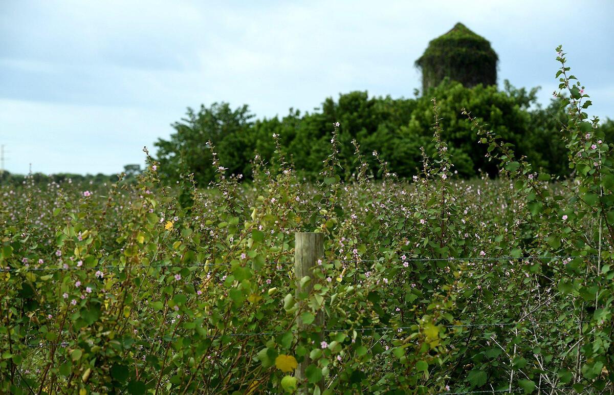 A developer is seeking to rezone a 300-acre parcel in the Tallevast neighborhood, which has local residents concerned about the site’s groundwater contamination.