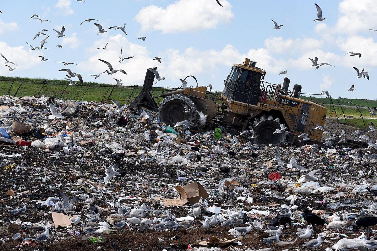 The city brings recycling materials to the local Waste Pro recycling facility, but not everything gets recycled. If there are too many non-recyclable materials, such as plastic bags and pizza boxes, the entire load gets sent to the landfill.