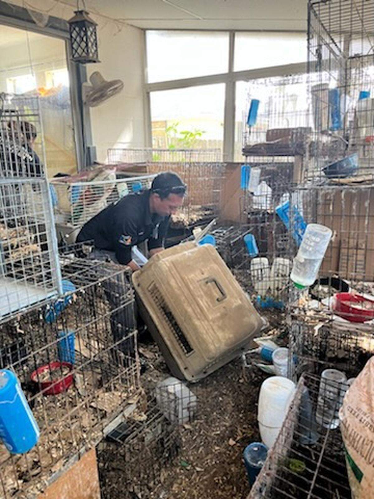 Manatee County removed 69 live rabbits from a Bradenton home that were living in “deplorable conditions.” The animals have been taken to Bishop Animal Shelter for evaluation and care.