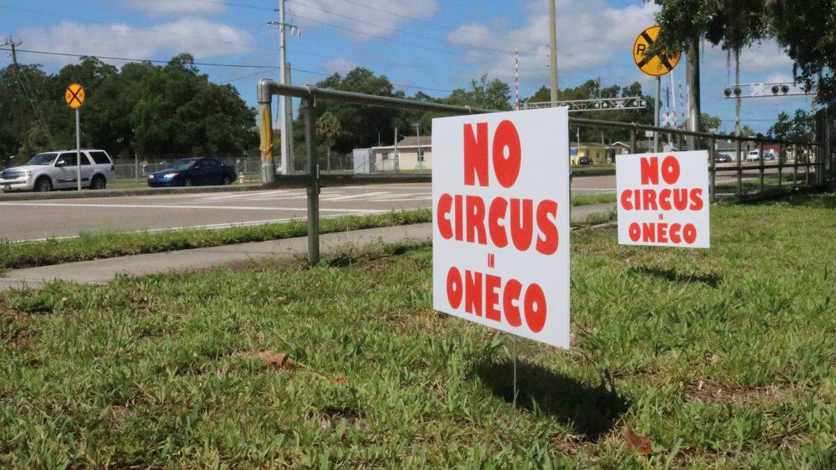 Neighbors are ramping up their opposition to a circus locating in Oneco as the Manatee County Commission prepares to vote on a zoning change June 2​ requested by Cirque Italia. Roadside signs are shown on June 1.