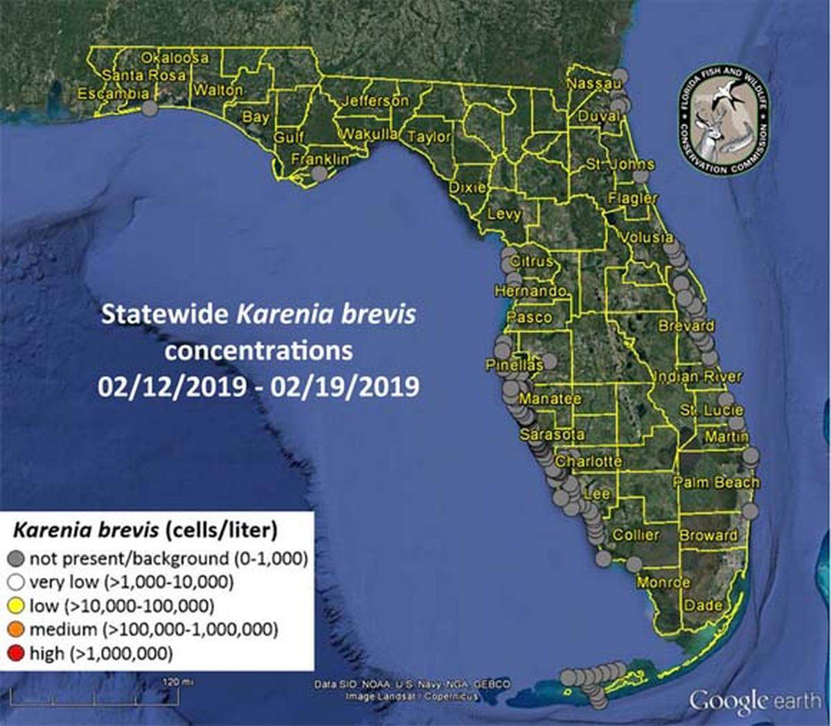 The most recent sample map from FWC shows that red tide is not present at any water test sites in the state of Floirda.
