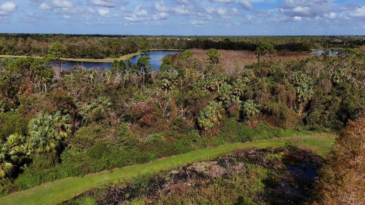 Manatee County commissioners approved a developer’s request to release about 10 acres of conservation easements along Cooper Creek in the University Park area.
