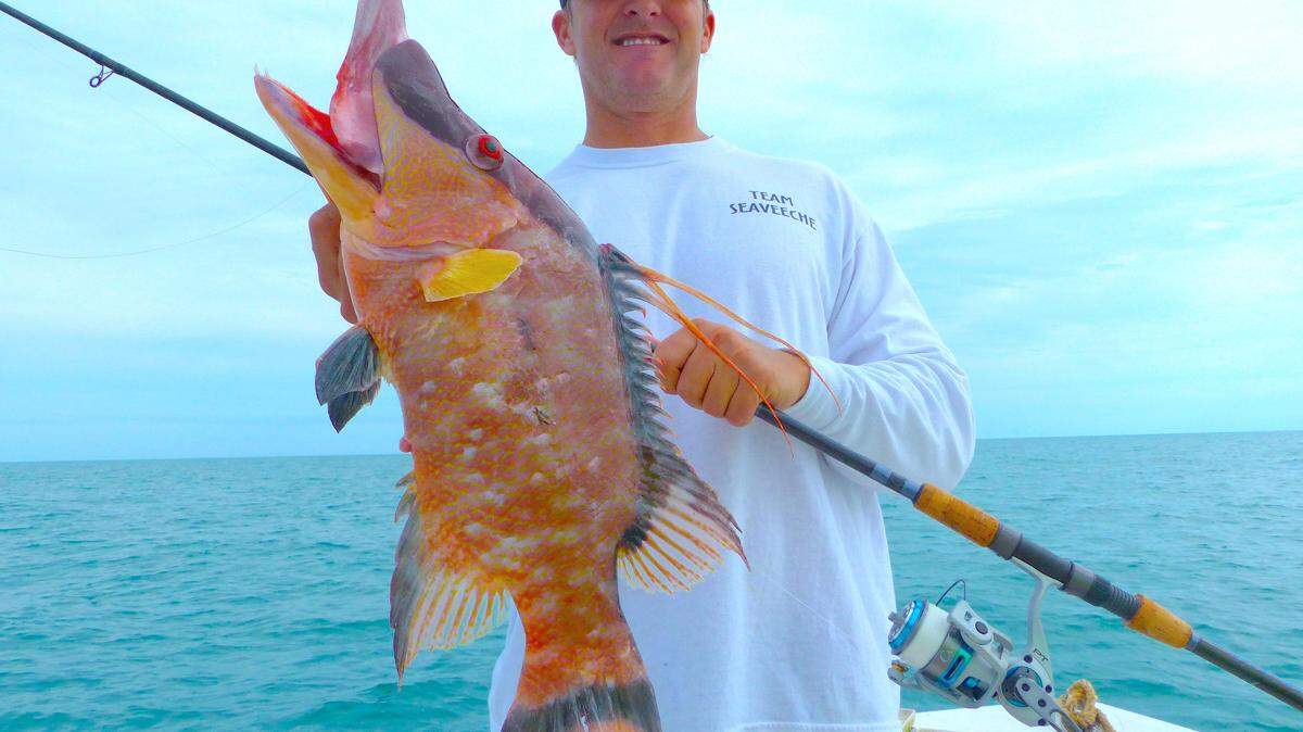 Jay Travis holds up a hogfish caught in 70 feet of water. PROVIDED PHOTO