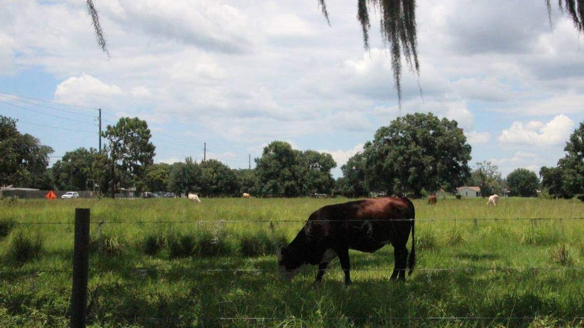 Rye Ranch proposal would bring another 3,500 homes to the fast-growing Parrish area