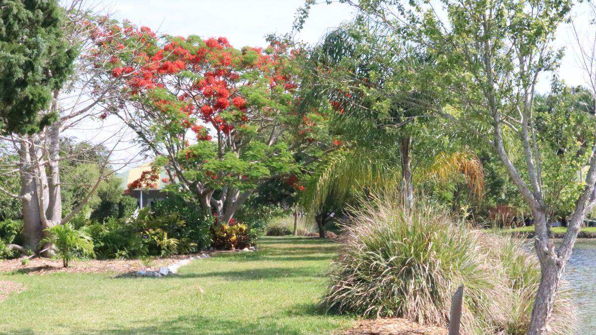 5/11/2021--A good place to learn more about the trees and plants that will be available at the rare fruit tree sale at Lakewood Ranch’s Premier Sports Campus 9 a.m. - 3 p.m. Sunday, May 16, is Palma Sola Botanical Park in Northwest Bradenton.