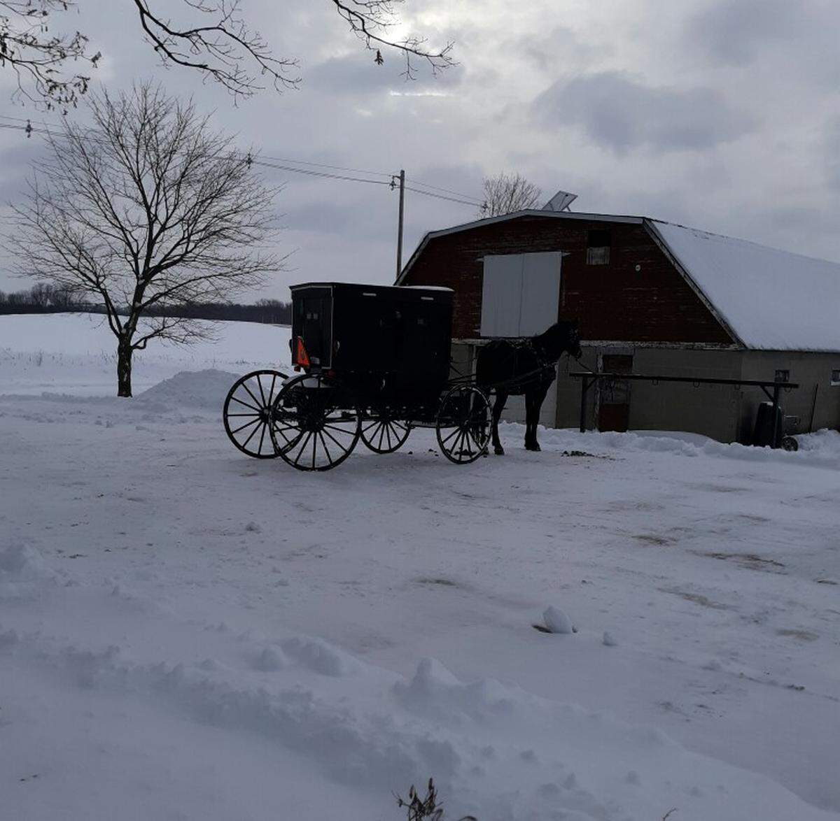 Horse says: “You think you have it cold?” Fortunately, most owners put their horses inside, or they wear blankets in extremely cold weather.
