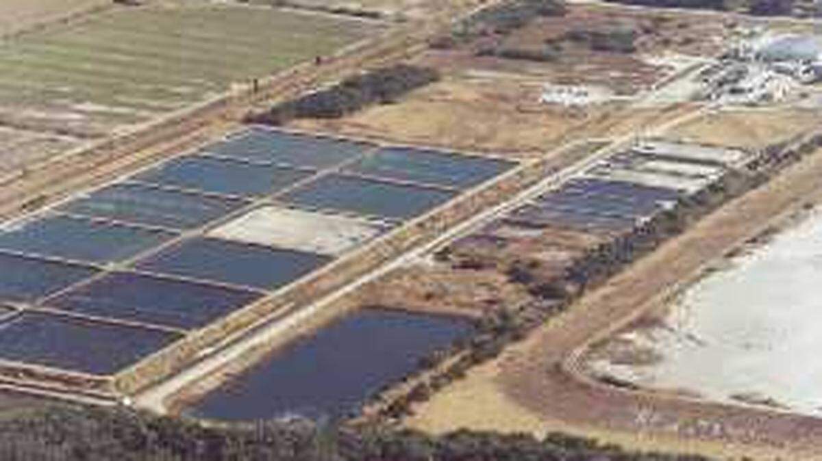 Gov. Rick Scott is directing $1.2 million to increase research efforts and the production of redfish at the FWC Stock Enhancement Research Facility at Port Manatee, his office announced on Monday afternoon.