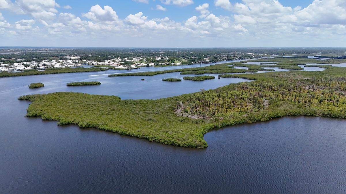 Manatee County is buying land in the Braden River south of S.R. 64 called North Pine Island to contribute to the natural habitat and preserve water quality shown here on May 14, 2025.