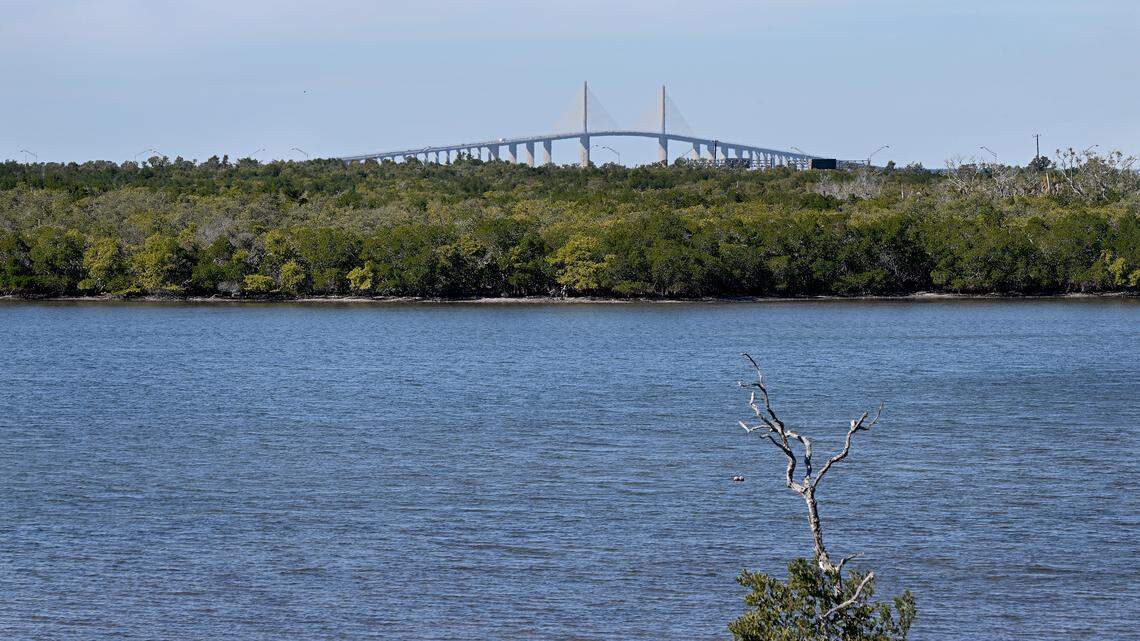 The Knott-Cowen Tract, where SSA Marine and partner Slip Knott LLC plan to build a new cruise ship port. Photo taken Jan. 20, 2026.