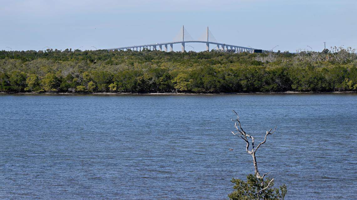 Opposition builds against a new cruise port in Florida. Here are 5 takeaways