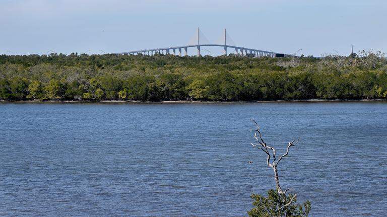 Opposition builds against a new cruise port in Florida. Here are 5 takeaways