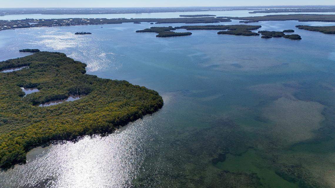 Knott Cowen tract on left on Feb. 9, 2026. State lawmakers who represent Manatee County are among those who have criticized the cruise port plans, and a bill recently passed in the Florida Senate aims to block dredging in the area. 