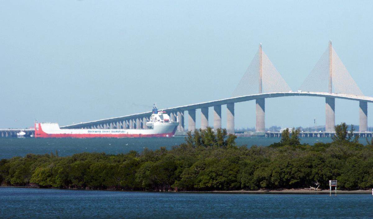The American Foundation for Suicide Prevention recommends installing barriers on tall bridges and buildings to discourage jumpers, said Dr. Andreas Pumariega, chief of child and adolescent psychiatry at the University of Florida’s College of Medicine, who has studied suicide.