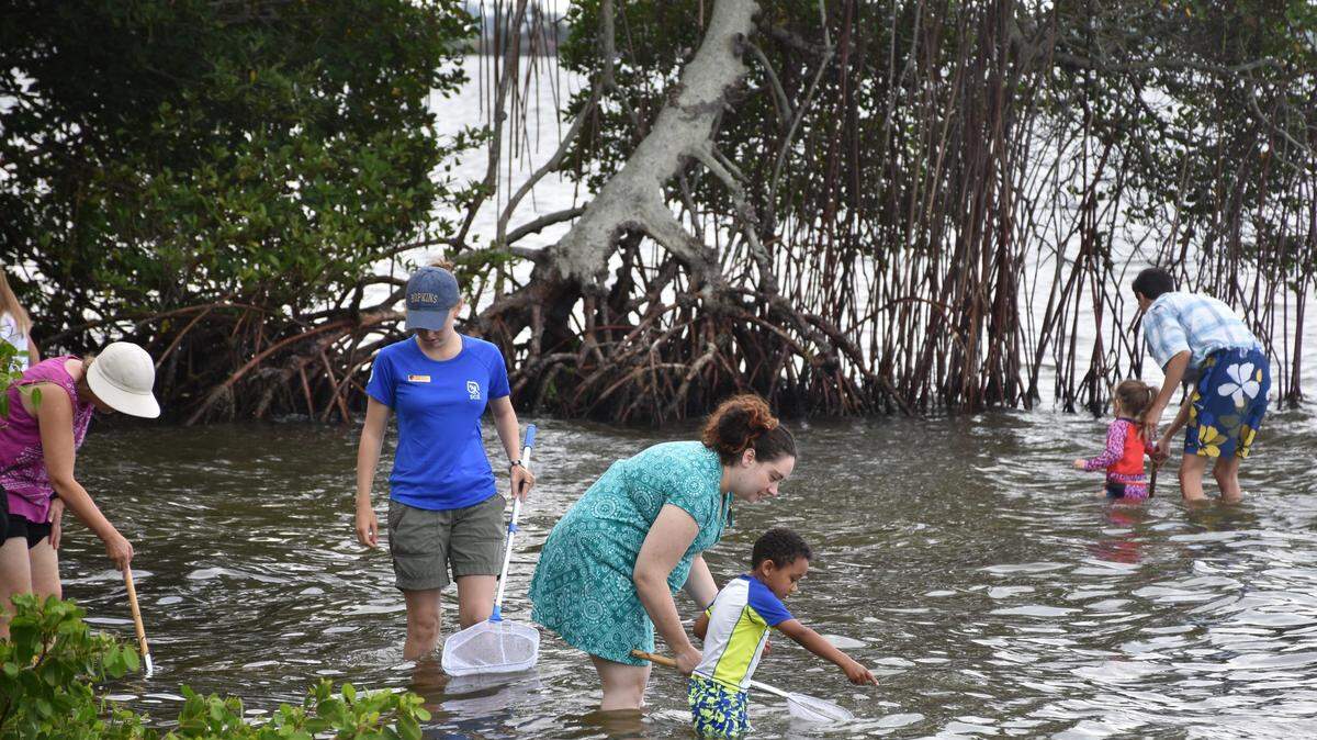 Families use nets to find marine life at the mouth of the Manatee River at Emerson Point Preserve during Manatee County’s 3rd annual World Oceans Day Festival.