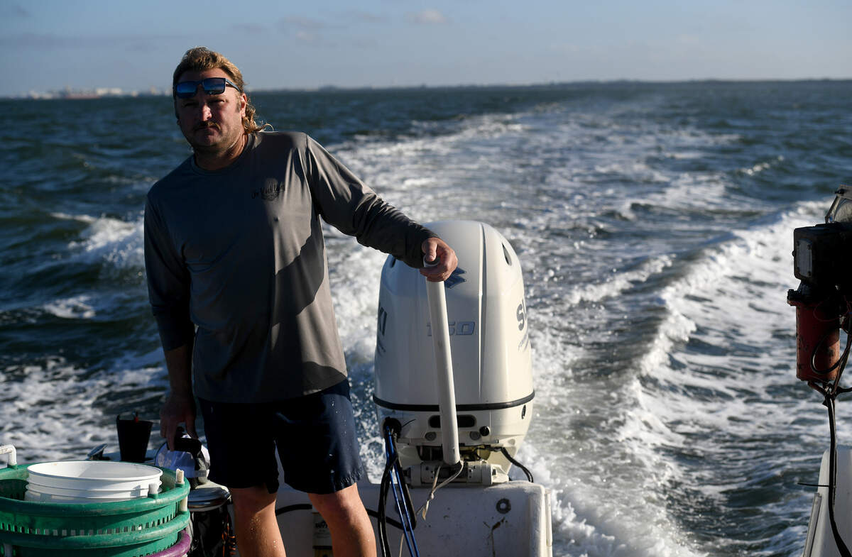 12/15/21—D.J. Strott guides his Carolina skiff through the waters of Tampa Bay to get to where his clams are growing in the shallow waters. The seedling clams are put into the shallow waters, and pulled up months later when they’re ready.