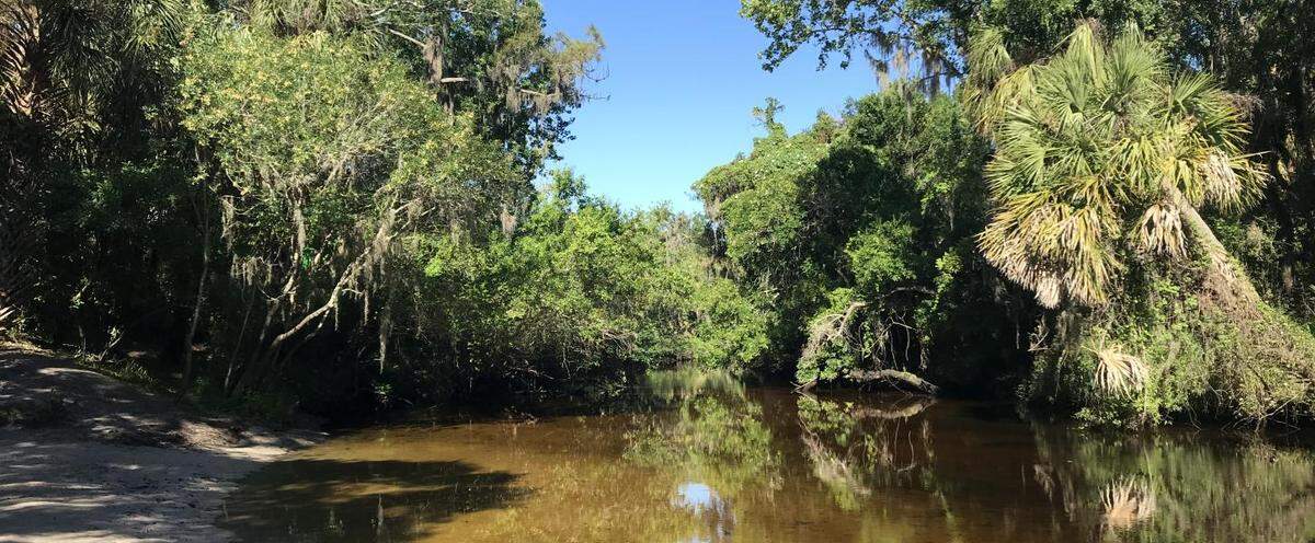 A newly proposed bill would make Little Manatee River the third waterway in Florida to become part of the National Wild and Scenic Rivers System.