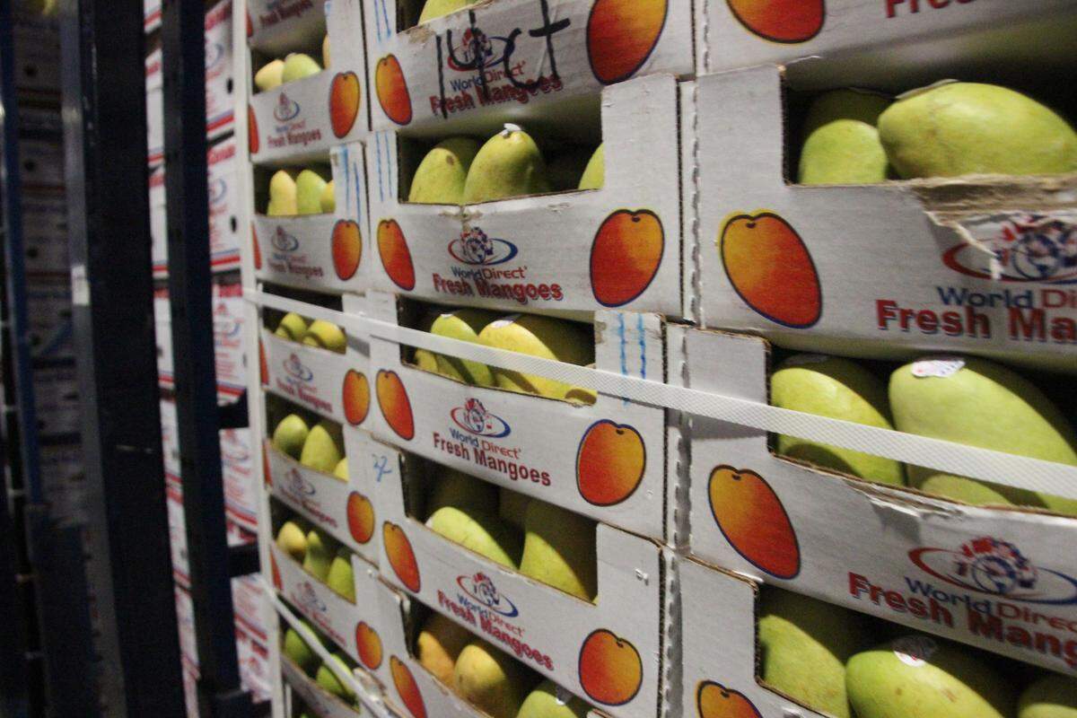 Produce imported from Mexico and Central America by World Direct Shipping is stored in a refrigerated warehouse at Port Manatee awaiting shipment to wholesalers all over the United States.