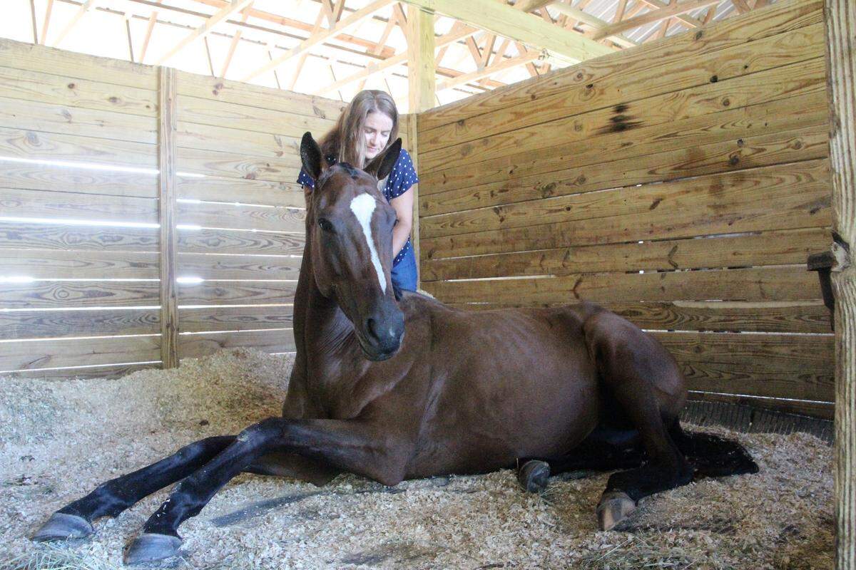 Jaymie Klauber spends some relaxing time with three-year-old Angelina in her stall at Epic Equine Experiences.