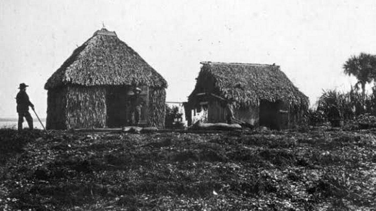 Palmetto thatch huts, courtesy of State Archives of Florida, Florida Memory