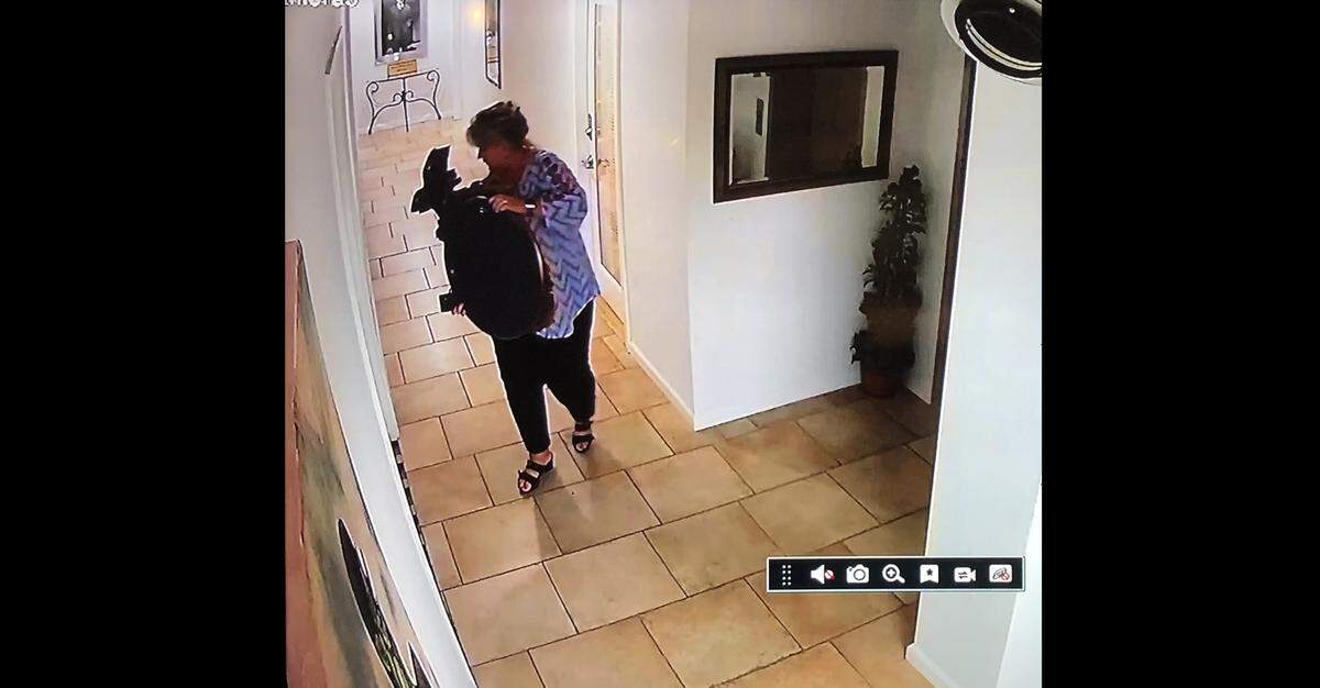 Sarasota Police Department is looking for a woman caught on video removing valuable pieces of art from a Sarasota business.