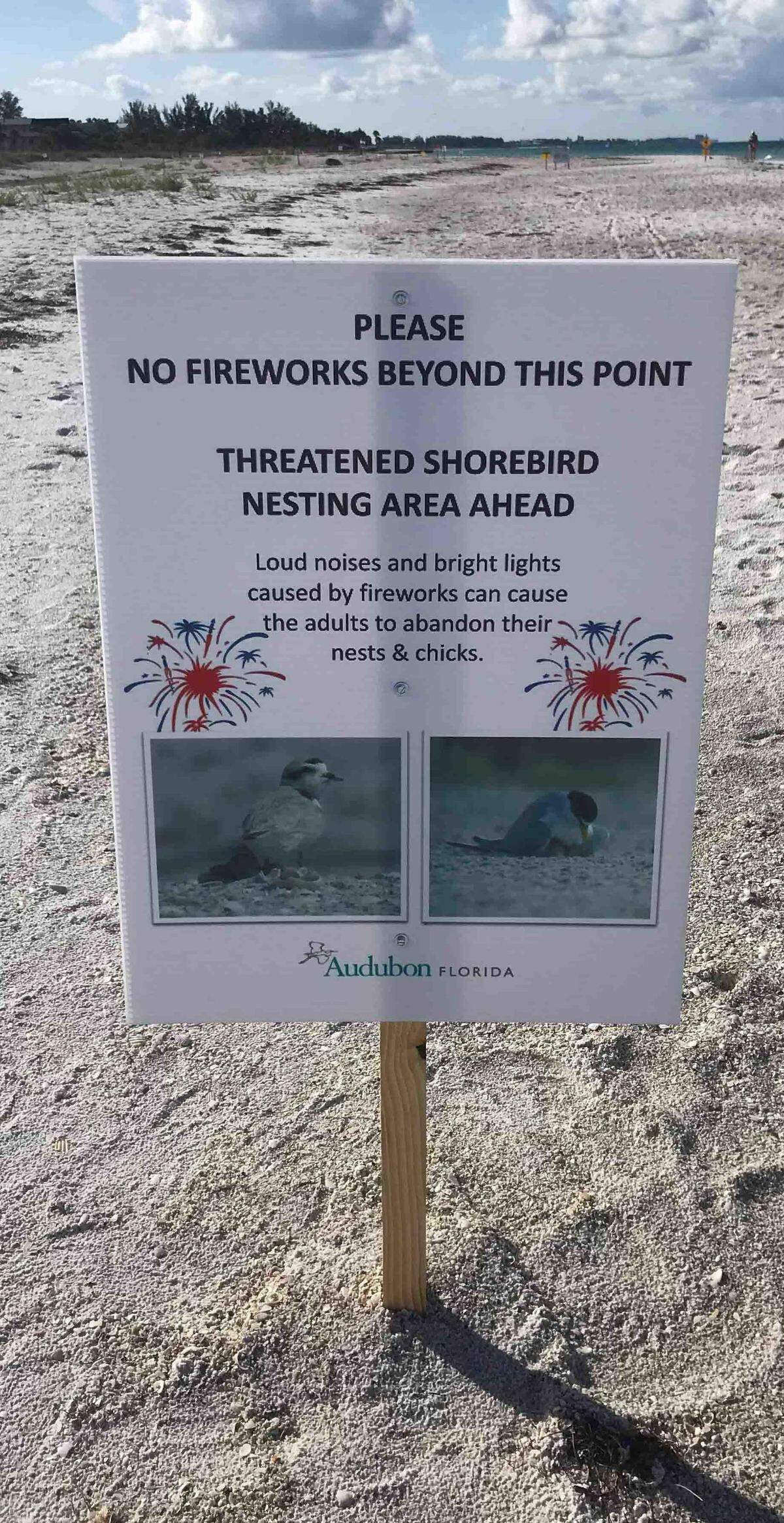 Signs like these are posted on Manatee and Sarasota beaches near active shorebird nesting sites.