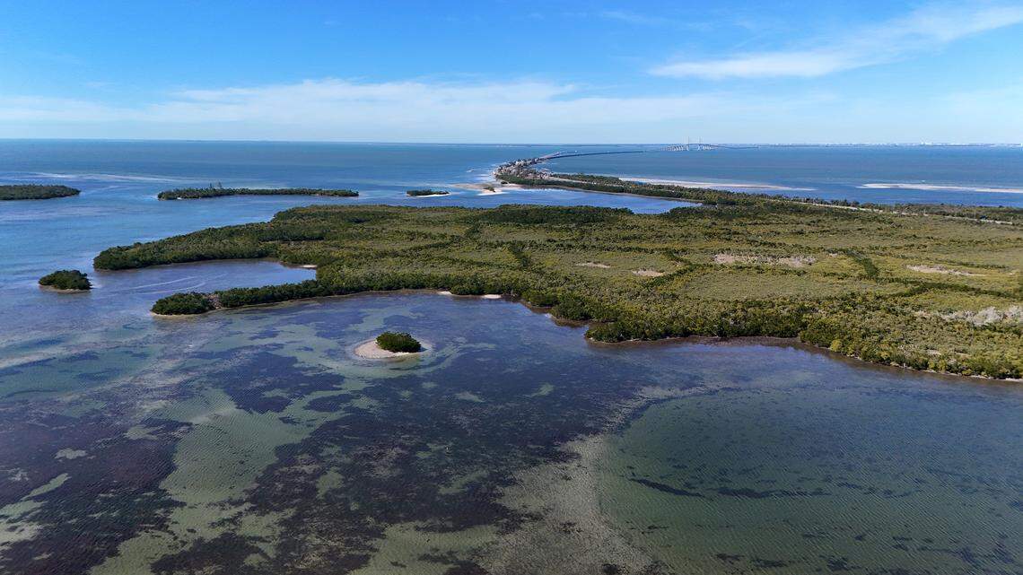 The Knott-Cowen Tract, where SSA Marine and partner Slip Knott LLC plan to build a new cruise ship port. Photo taken Jan. 20, 2026.