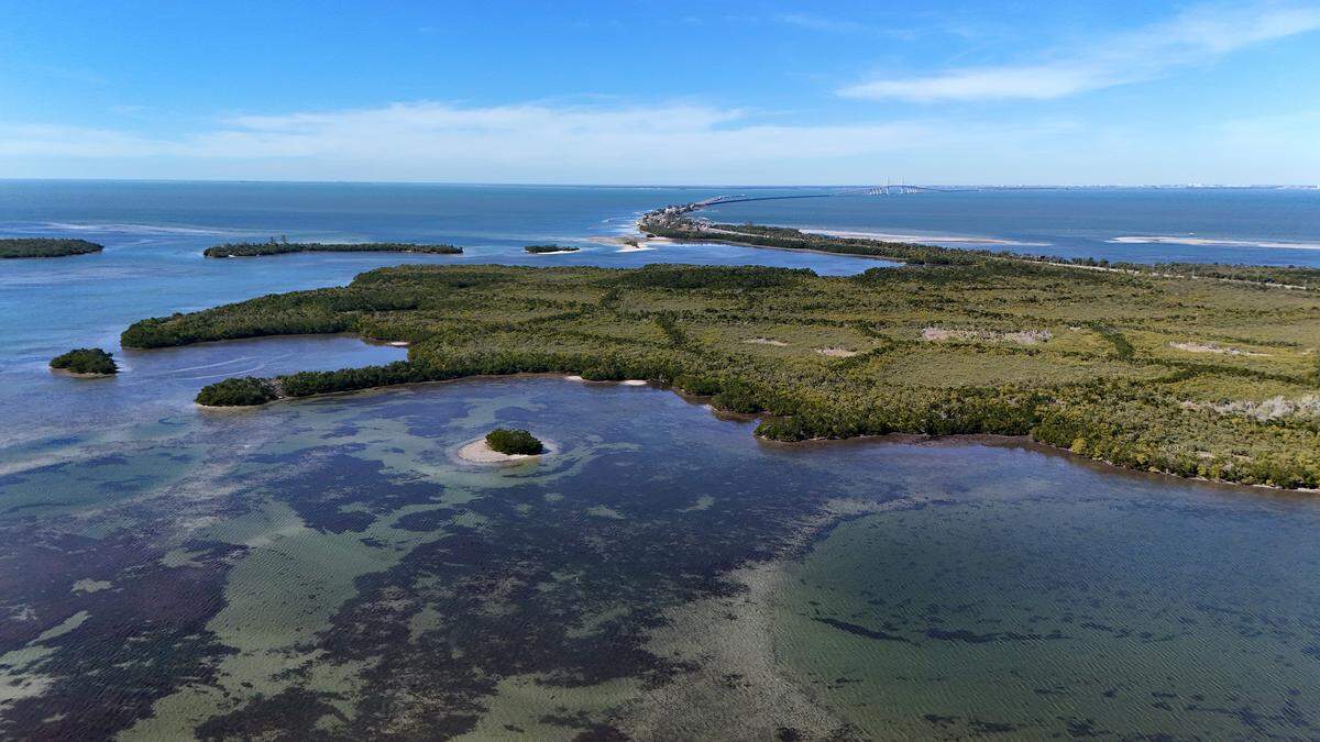 The Knott-Cowen Tract, where SSA Marine and partner Slip Knott LLC plan to build a new cruise ship port. Photo taken Jan. 20, 2026.