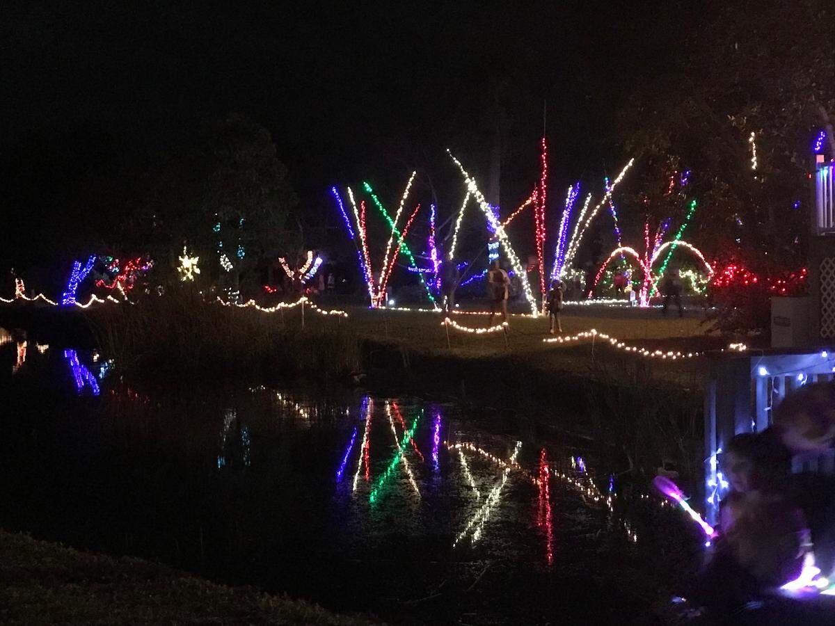 Palma Sola Botanical Park’s free annual Christmas event, “Winter Nights Under the Lights,” returns from Dec. 18-21, 2025. 