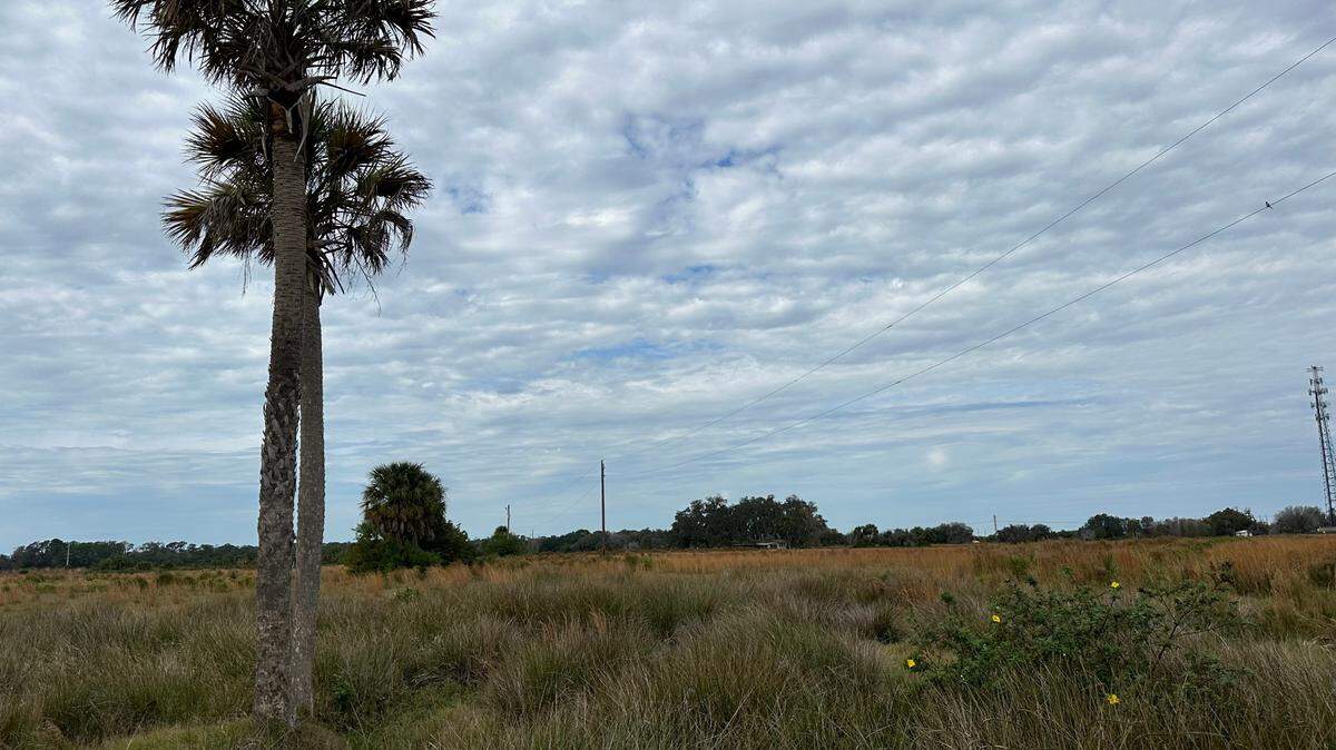 The Sawgrass Ridge affordable housing project is planned along Moccasin Wallow Road on this vacant land in northern Manatee County.
