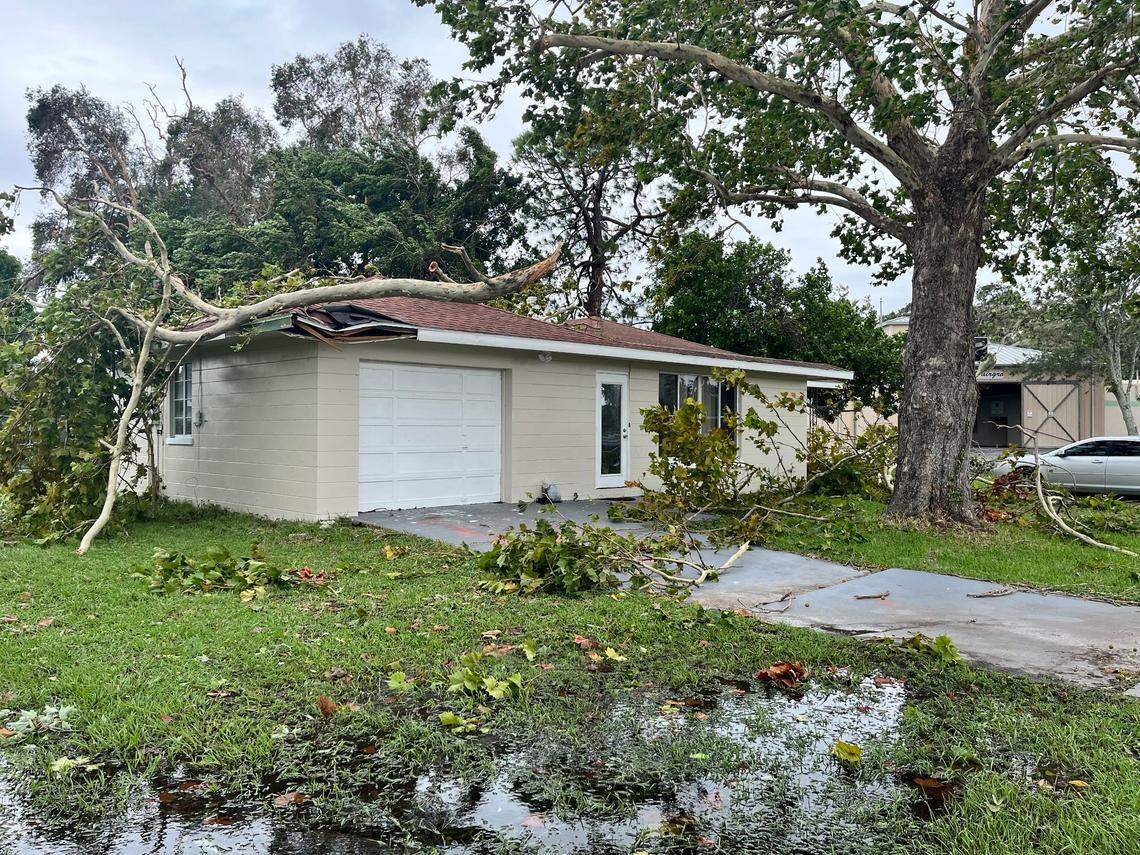 A large branch sits on a Palmetto house after Hurricane Ian on Thursday, Sept. 29, 2022.