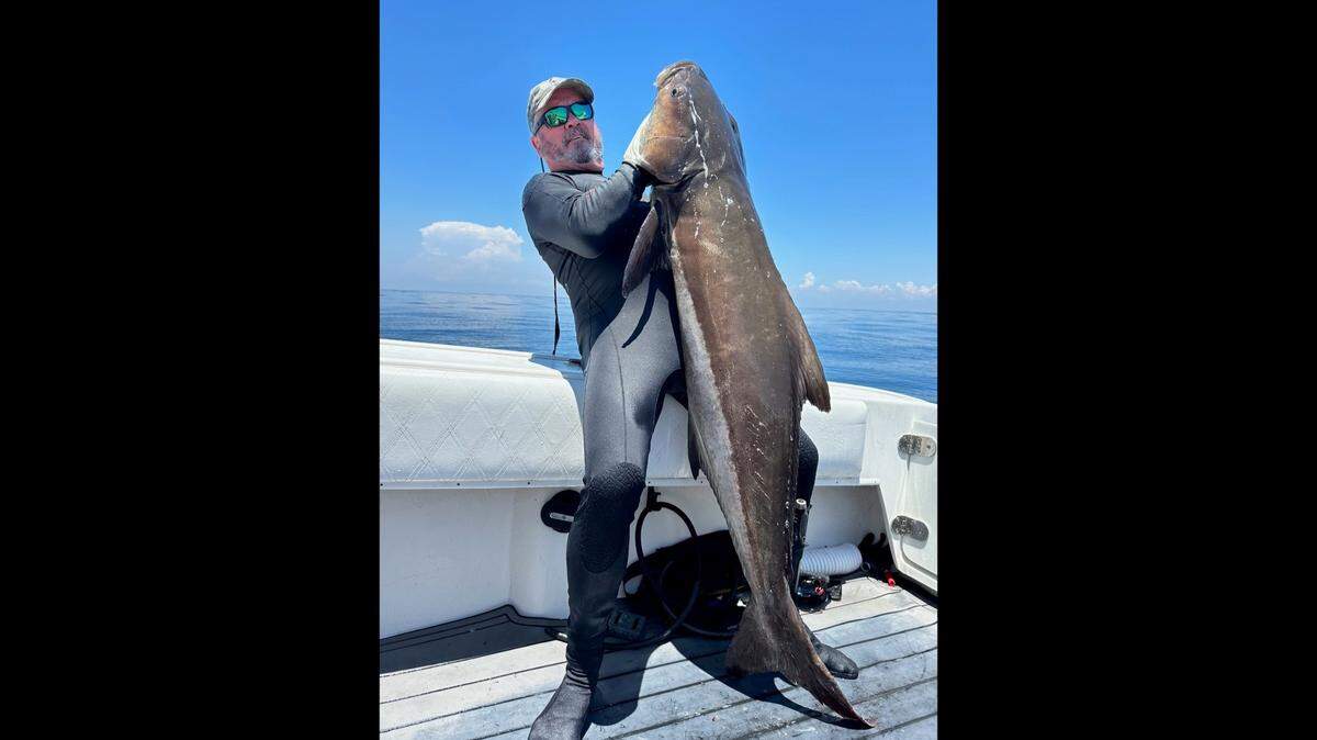 Bradenton spearfisherman Mike Jeanes poses with the 86-pound cobia he caught during the 16th annual Fire Charity Tournament.