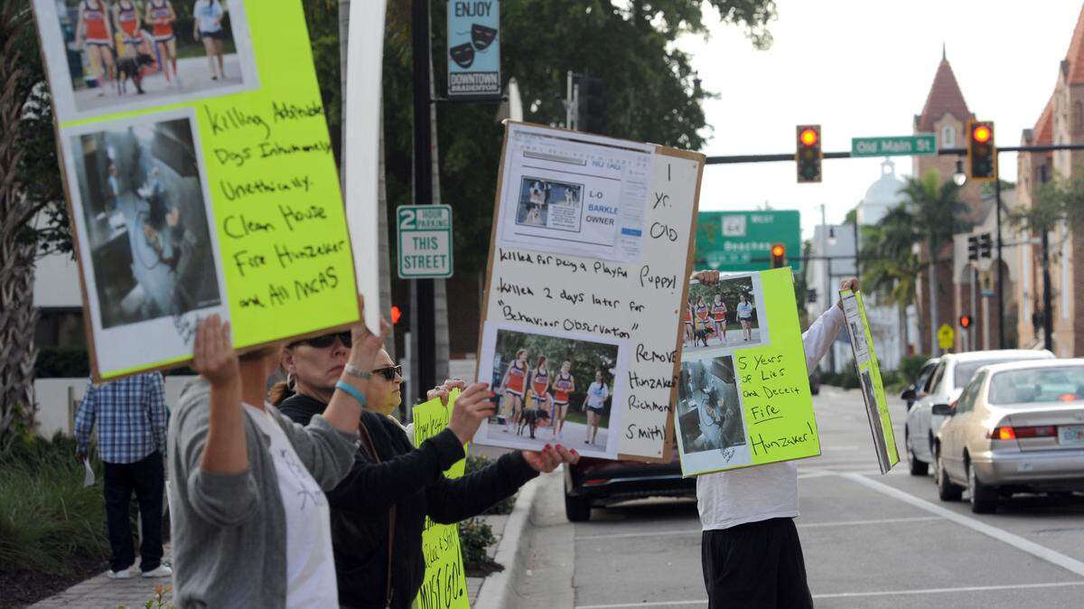 Animal advocates gather Thursday along Manatee Avenue West, across from the County Administration Building, to protest Manatee County's treatment of animals, and demanded the removal of Manatee County Administrator Ed Hunzeker, Manatee County Animal Services interim chief Joel Richmond and others at the agency. 
 GRANT JEFFERIES/Bradenton Herald