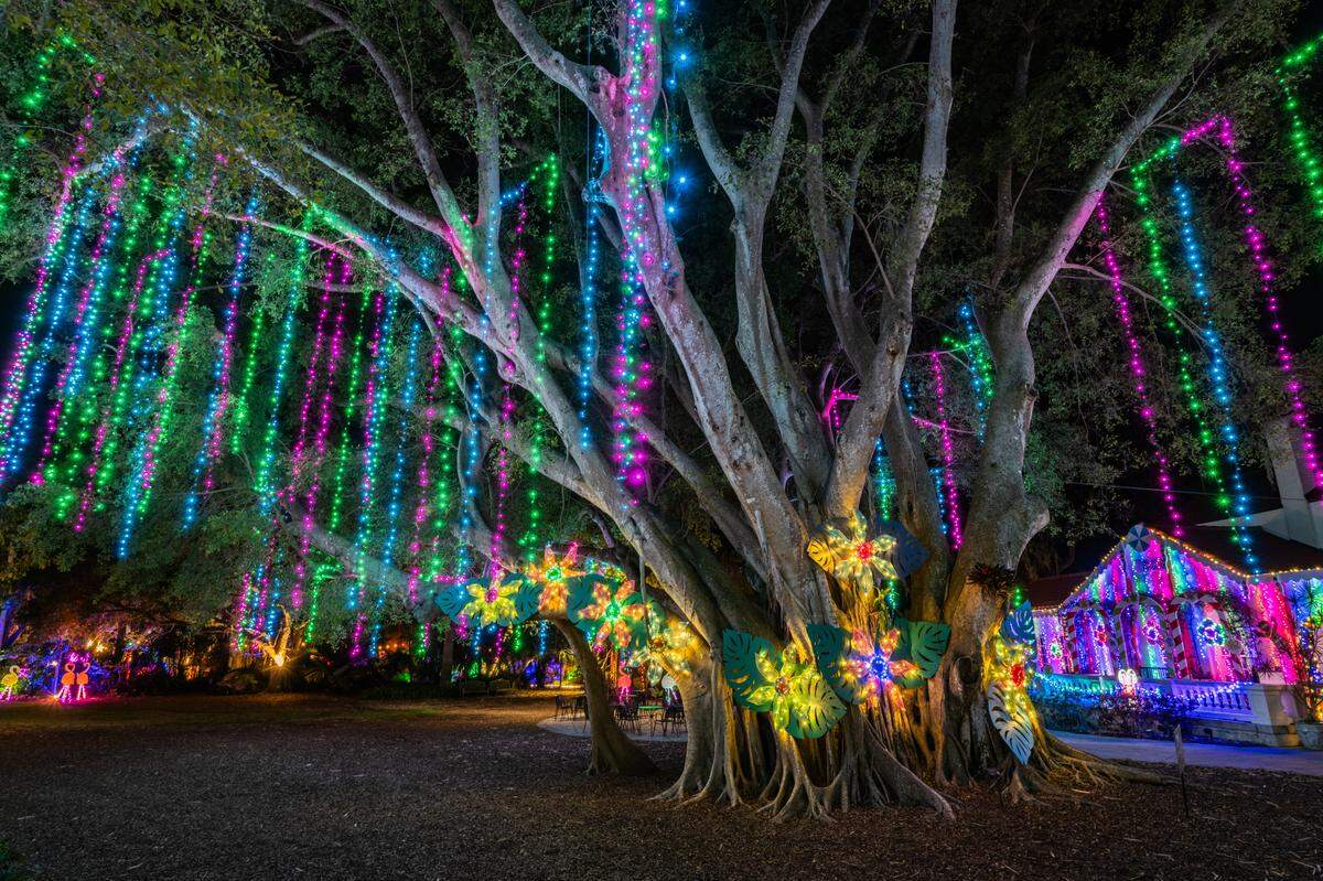 Marie Selby Botanical Garden’s “Lights in Bloom” returns to the Sarasota bayfront with more than two million lights illuminating the night from Dec. 6, 2025, to Jan. 3, 2026. 