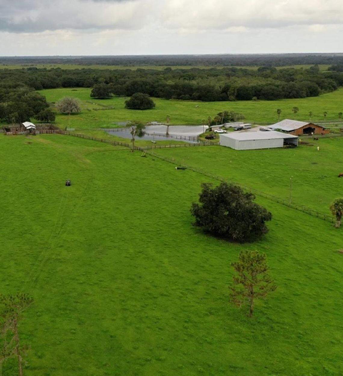 Over 1,400 acres of ranchland in East Manatee County are slated for permanent protection from development after commissioners agreed to buy two agricultural easements in partnership with the state. Pictured is Mossy Island Ranch, where the state and county plan to protect over 400 acres.