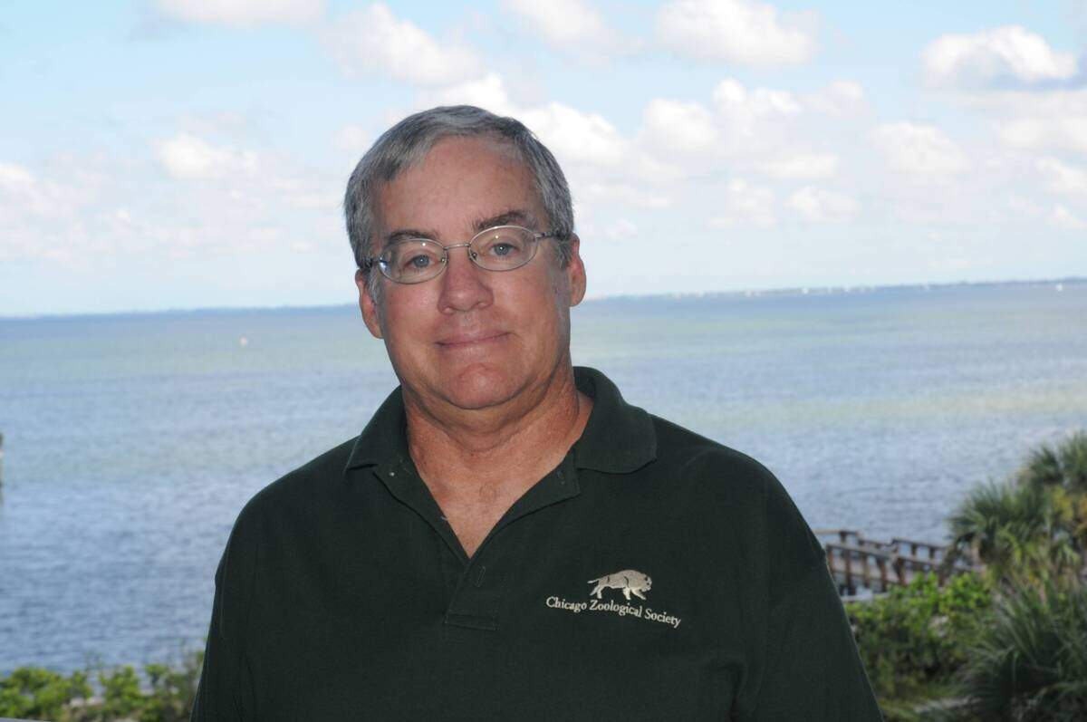 Randy Wells, recently retired director of the Sarasota Dolphin Research Program.