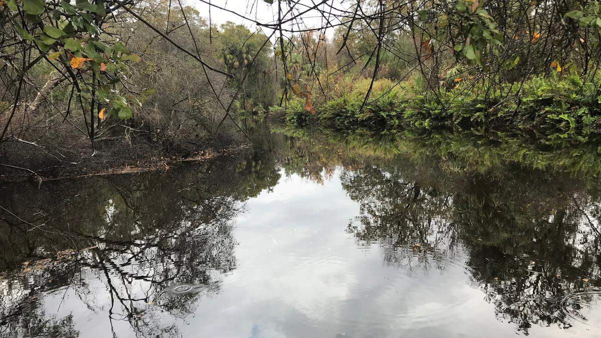 The Manatee River flows gently past the canoe launch area at Camp Flying Eagle. The camp offers scouts an opportunity to learn canoeing and kayaking.
