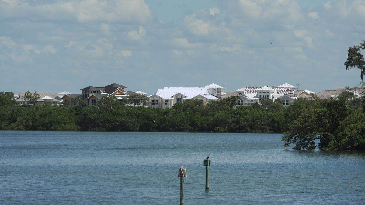 The shoreline east of Anna Maria Sound is lined with mangroves at the proposed Harbor Sound development, seen in this 2014 file photograph. Members of the Neal family, including builders and developers Pat, Charlene, John and Michael, plan to build four homes on this 40-acre piece of wooded shoreline on the northwest edge of Perico Island sometime in the next couple of years. 
 File Photo-GRANT JEFFERIES/Bradenton Herald