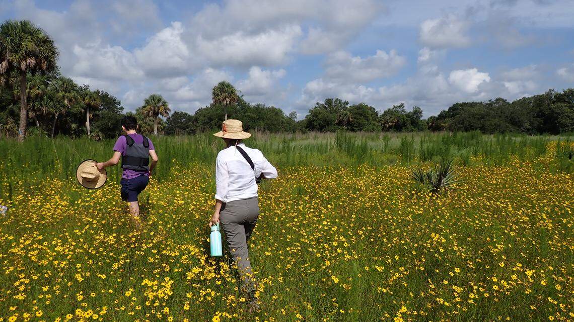We can slow development by saving native lands | Opinion