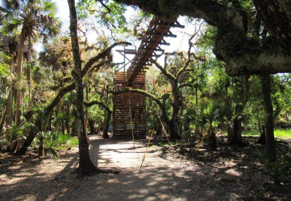 Get some exercise and an eagle’s eye view among the treetops at Myakka River State Park’s famous canopy walkway.