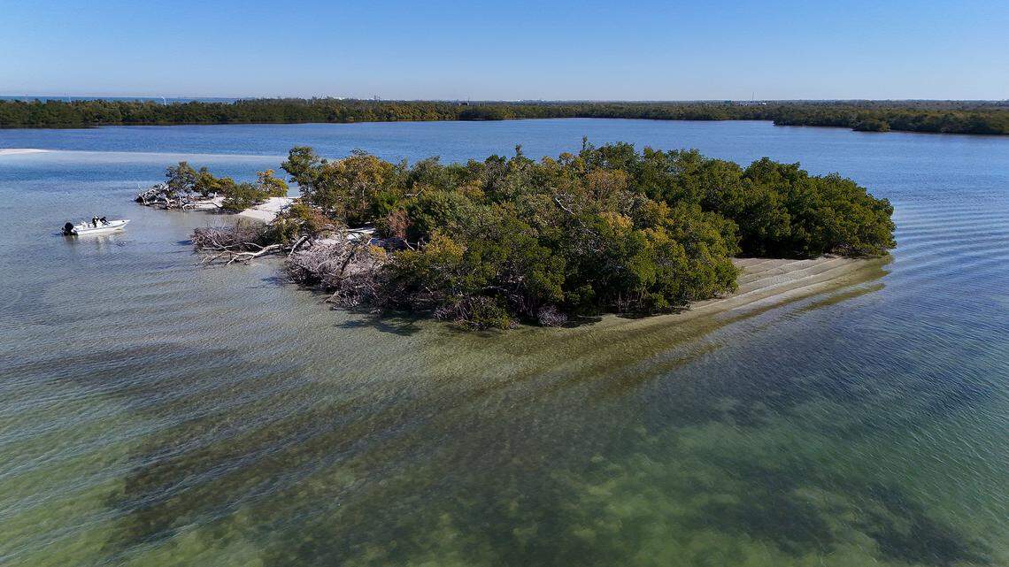 Paradise Island with Knott-Cowen beyond on Feb. 9, 2026. After companies SSA Marine and Slip Knott LLC proposed building a cruise ship terminal on the Knott-Cowen tract adjacent to the Terra Ceia Aquatic Preserve, Florida lawmakers passed a bill to prevent it. Some critics say it didn’t go far enough. 